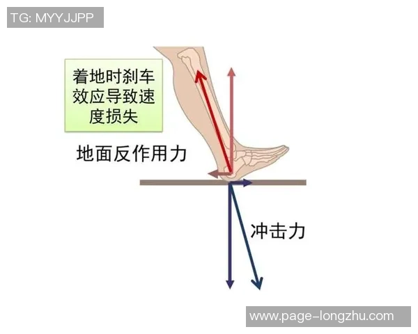 南京乒乓球队如何引领节奏革新助力竞技水平提升的深度探讨